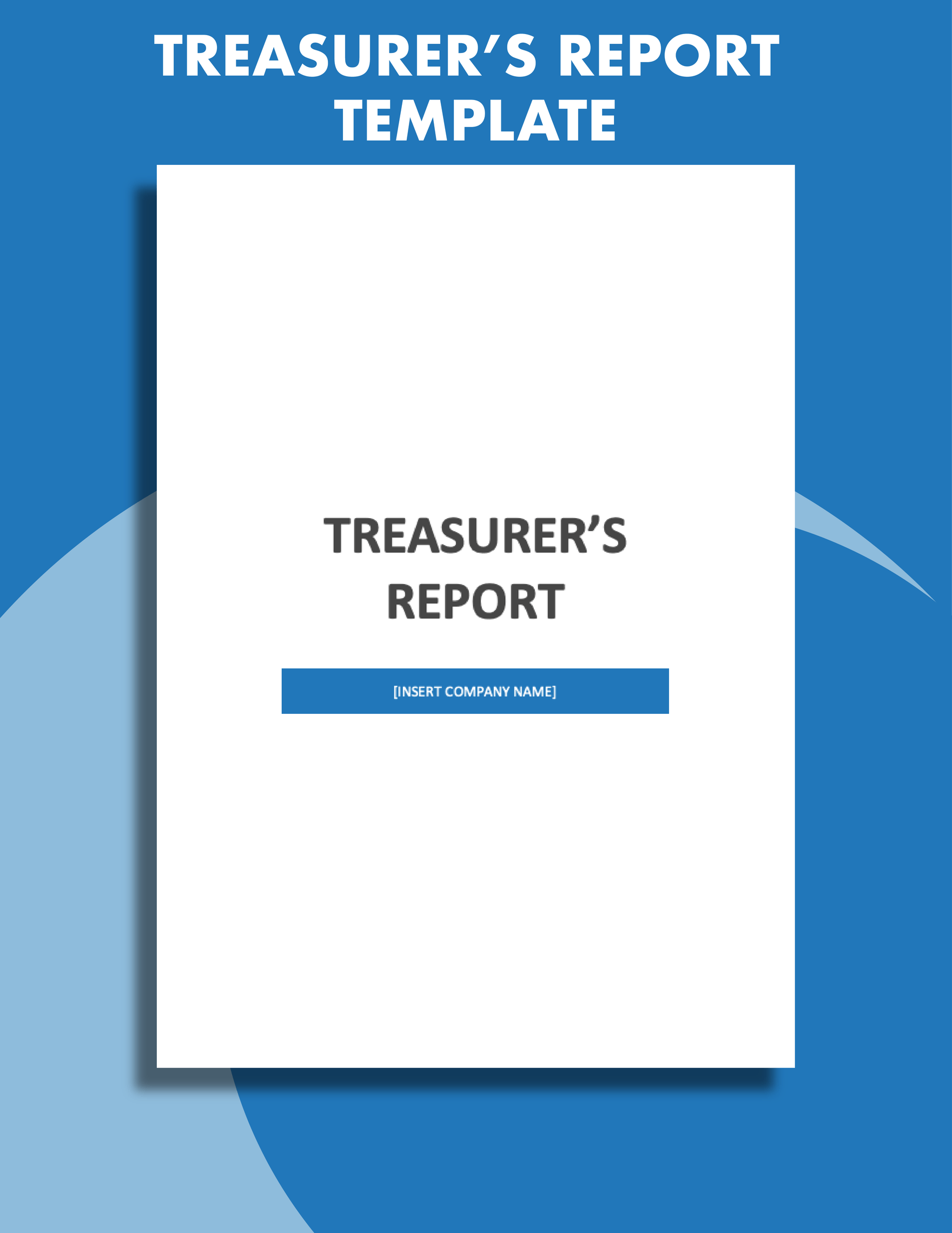 Treasurer Report Template