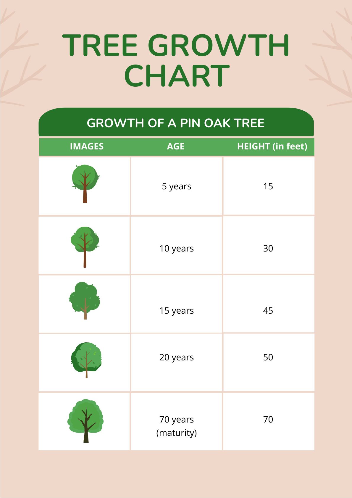 Tree Growth Chart in PDF, Illustrator