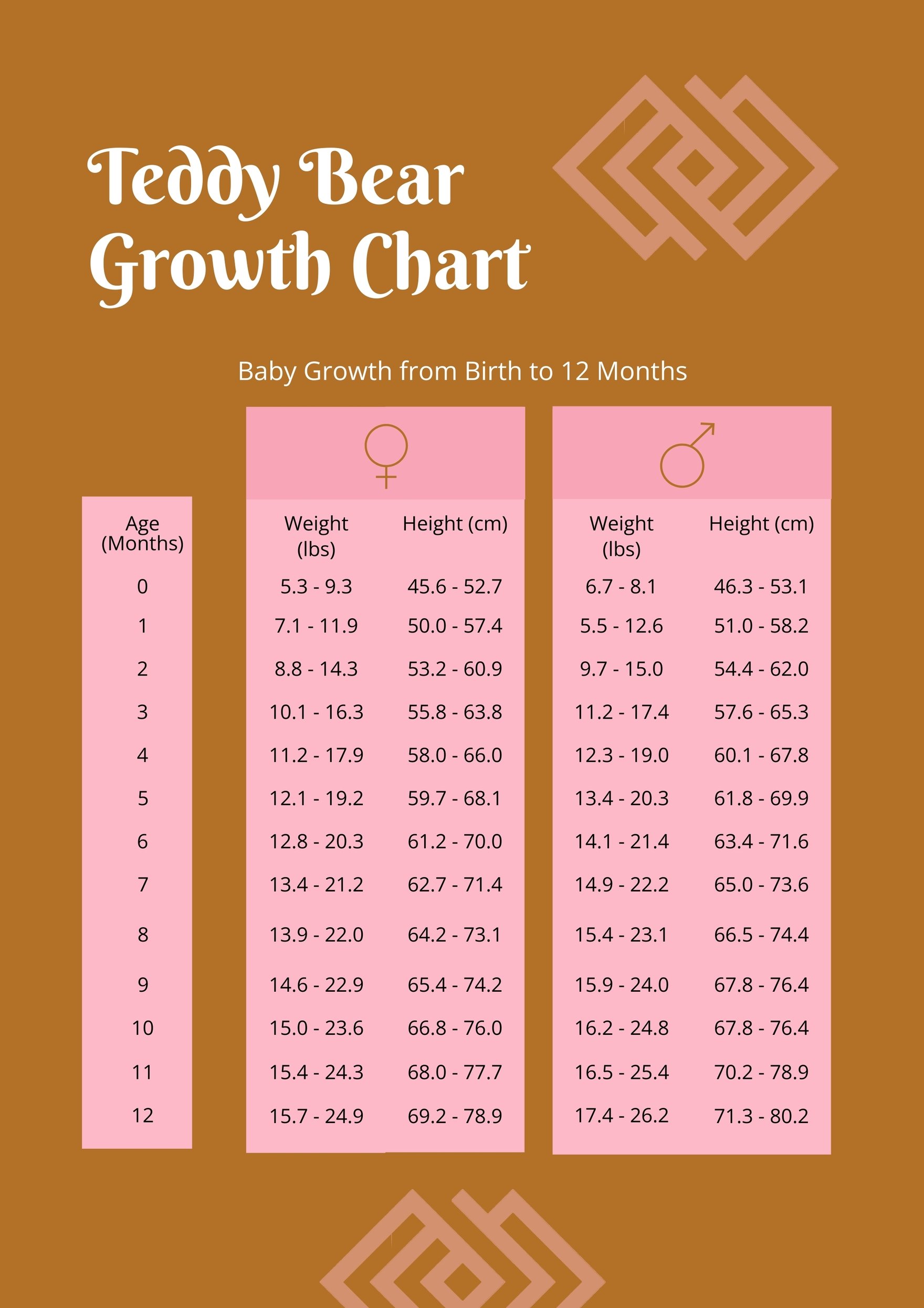 Teddy Bear Growth Chart in PDF, Illustrator