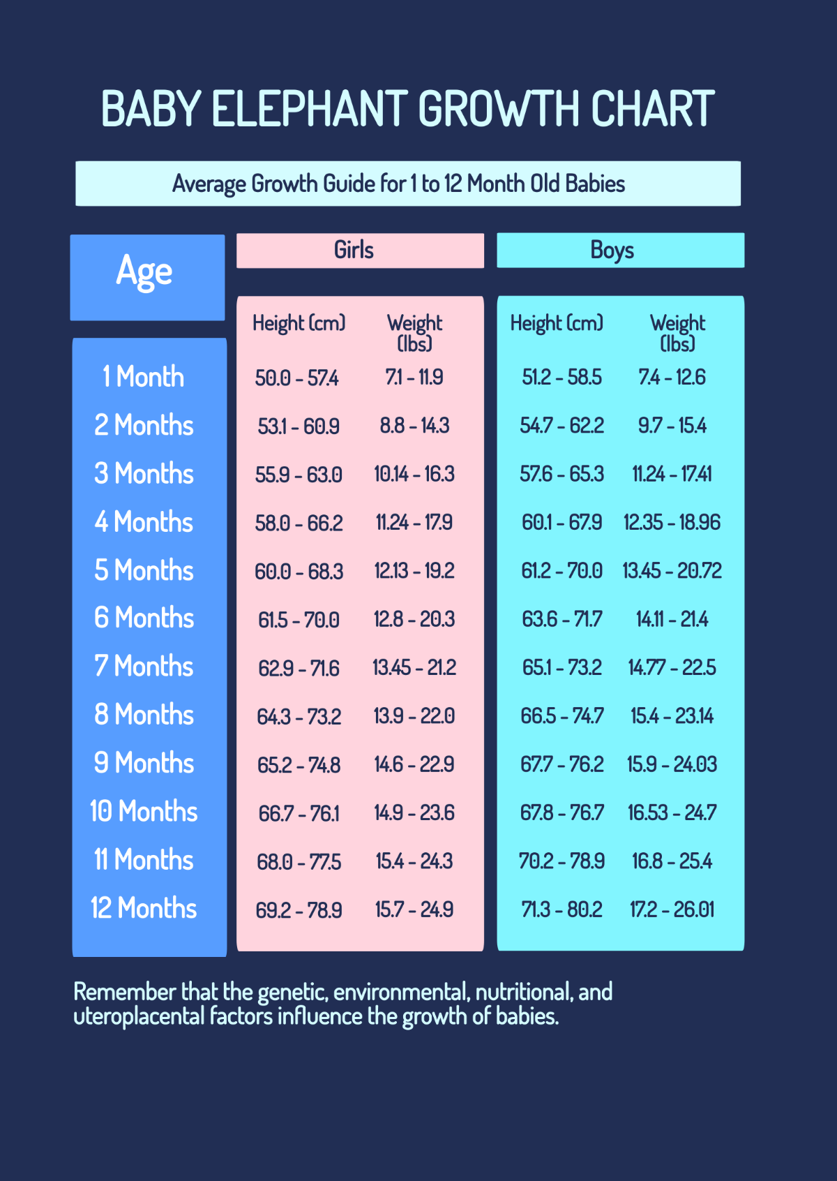 Baby Elephant Growth Chart Template