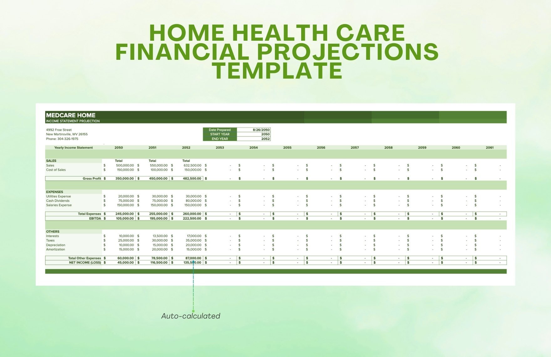 Home Health Care Financial Projections Template