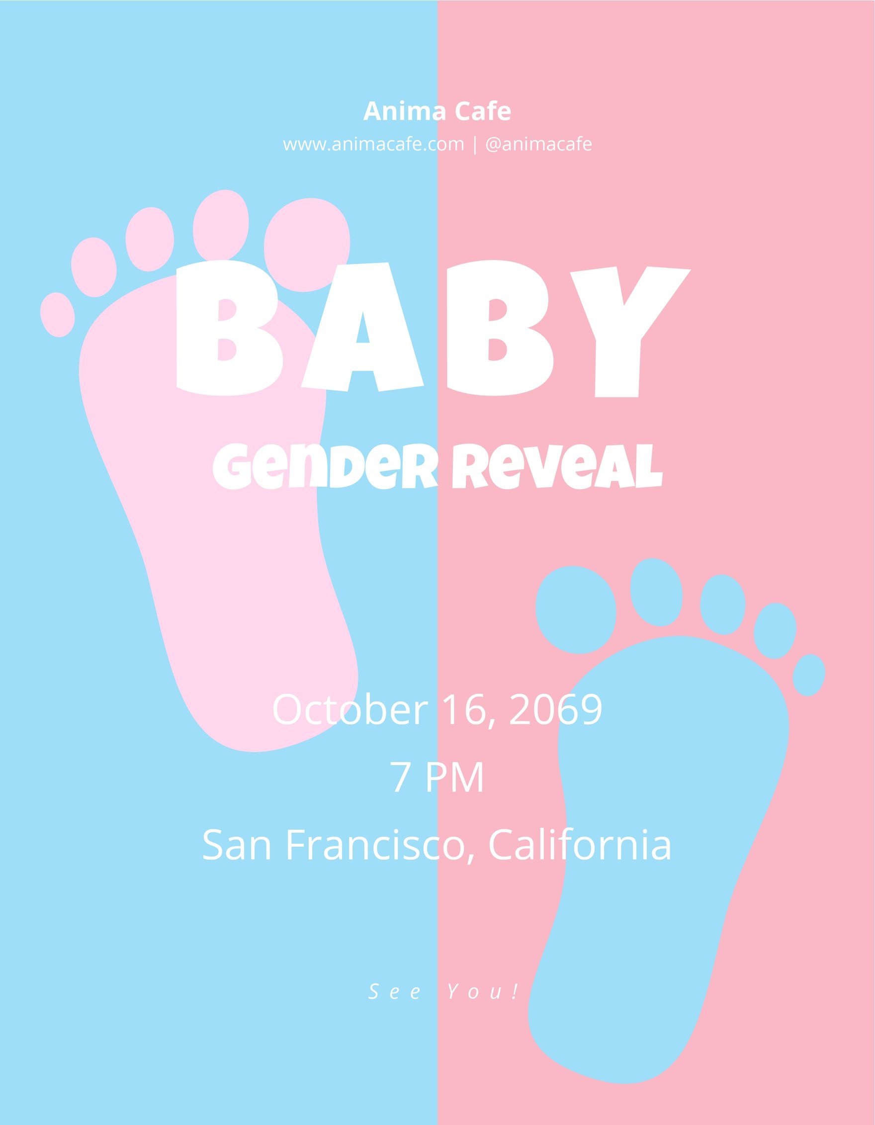 Baby Gender Reveal Flyer