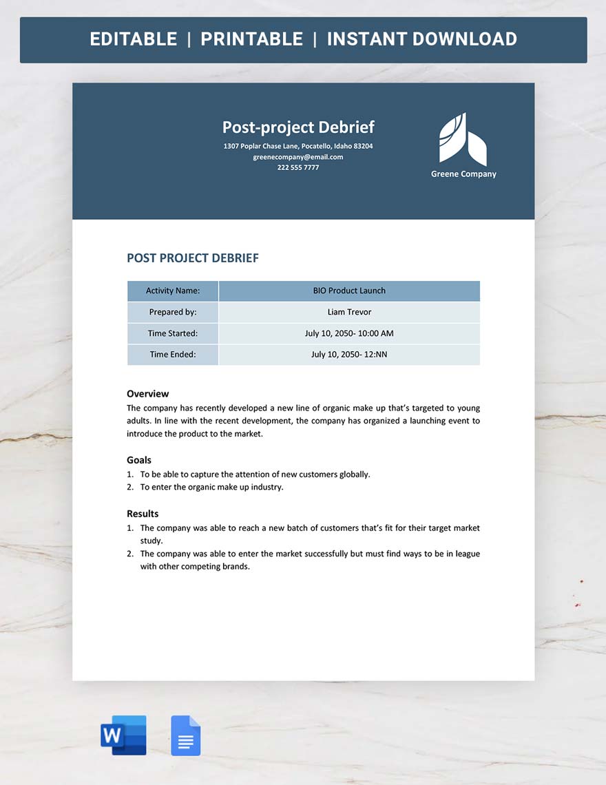 Post-Project Debrief Template in Word, Google Docs