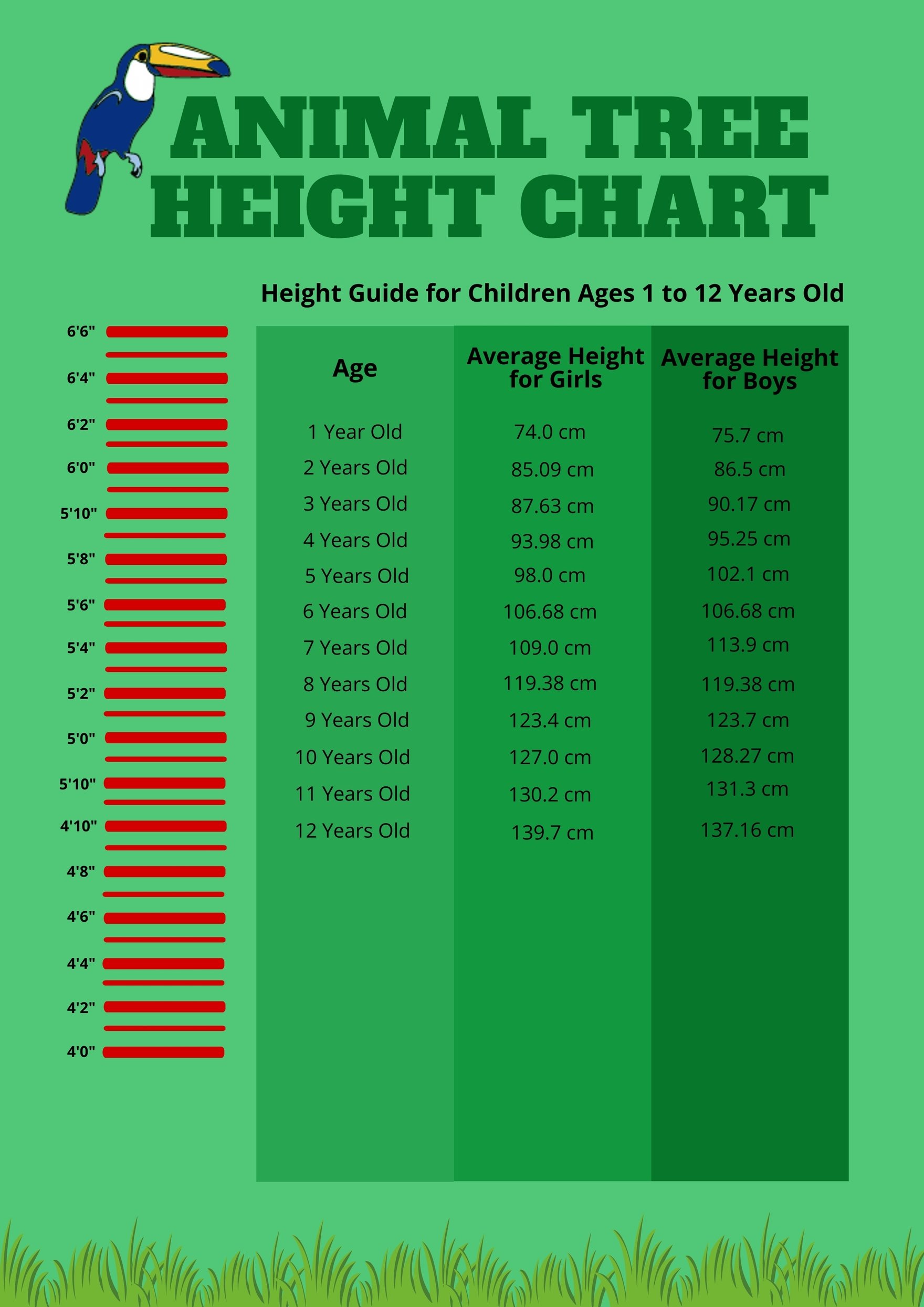 Animal Tree Height Chart