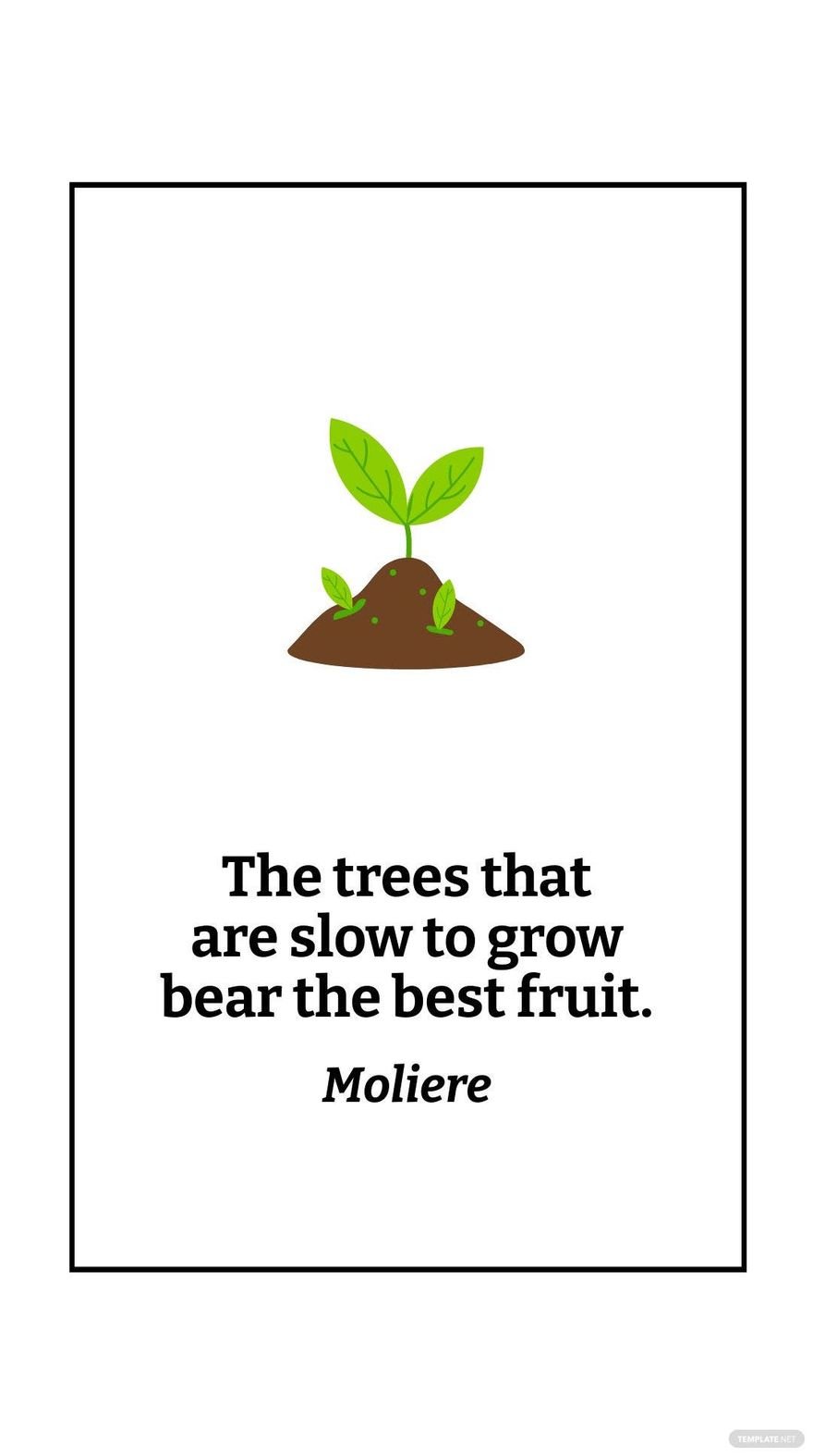 Free Moliere - The trees that are slow to grow bear the best fruit. in JPG