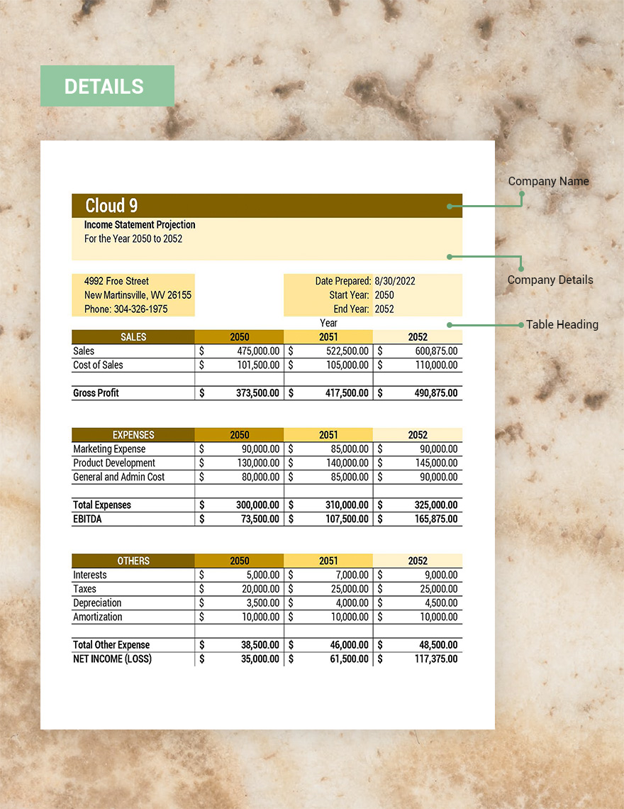 Enterprise SaaS Financial Projection Model Template Google Sheets