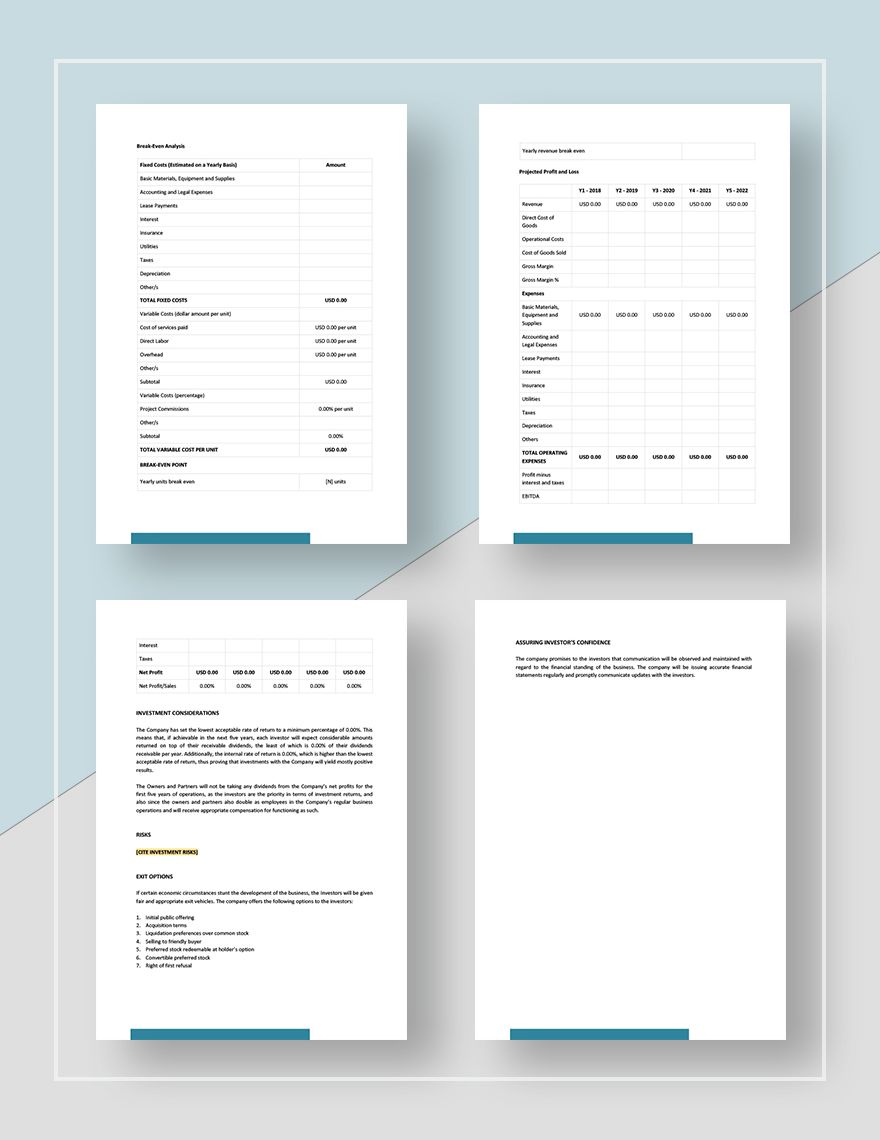 Business Investment Plan Template Download in Word, Google Docs