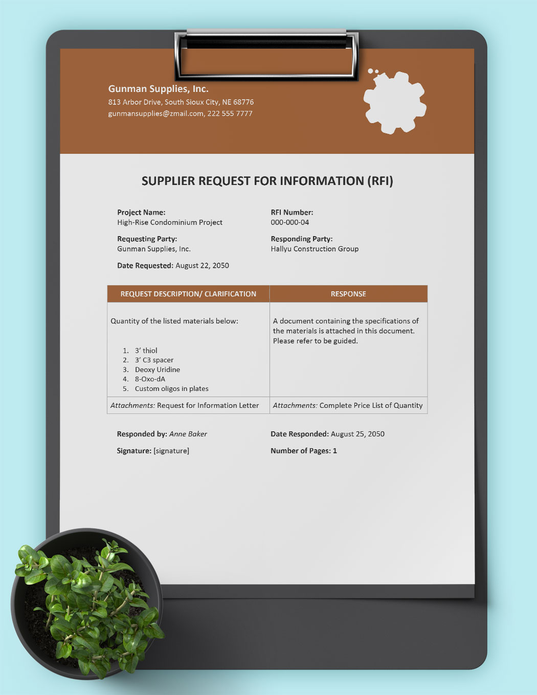 Supplier Request For Information Template