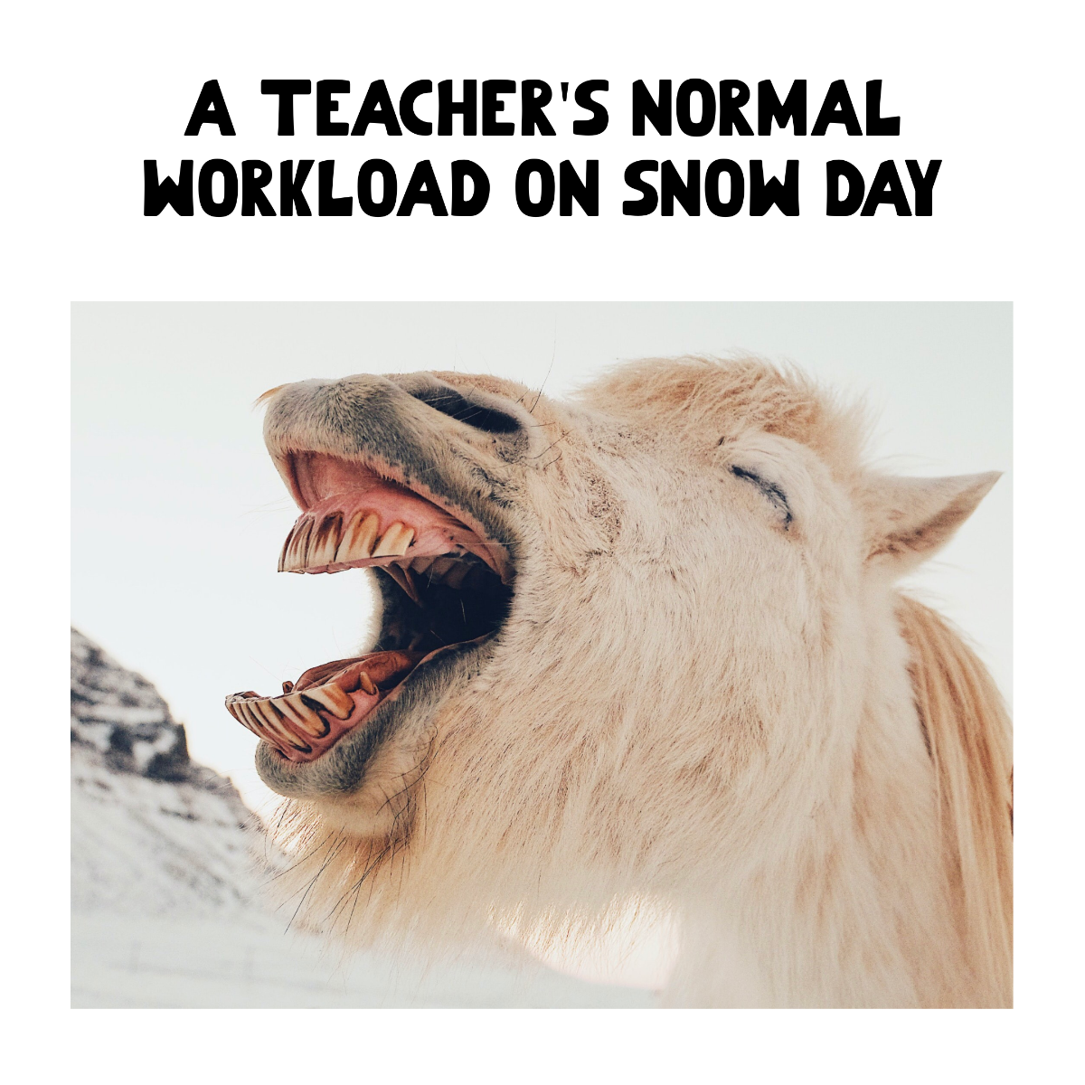Free Teacher's Day Snow Meme