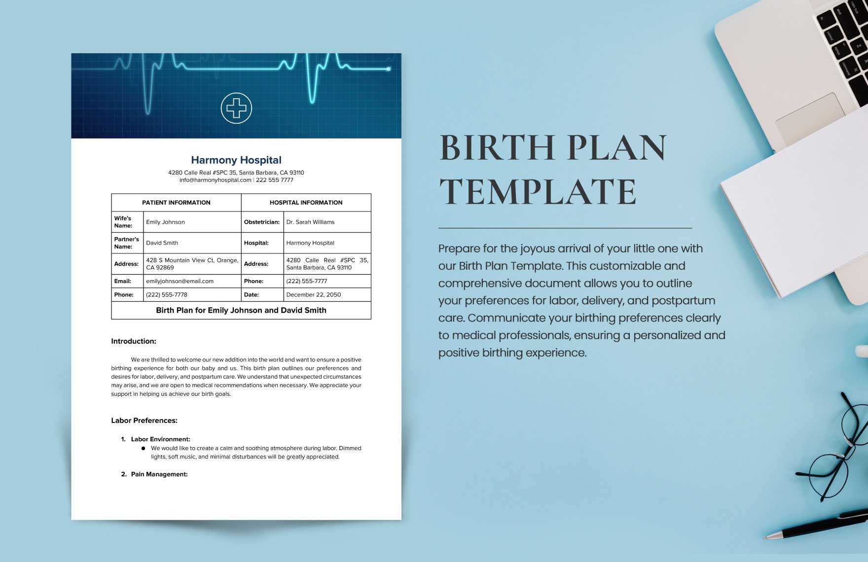 Free Birth Plan Template