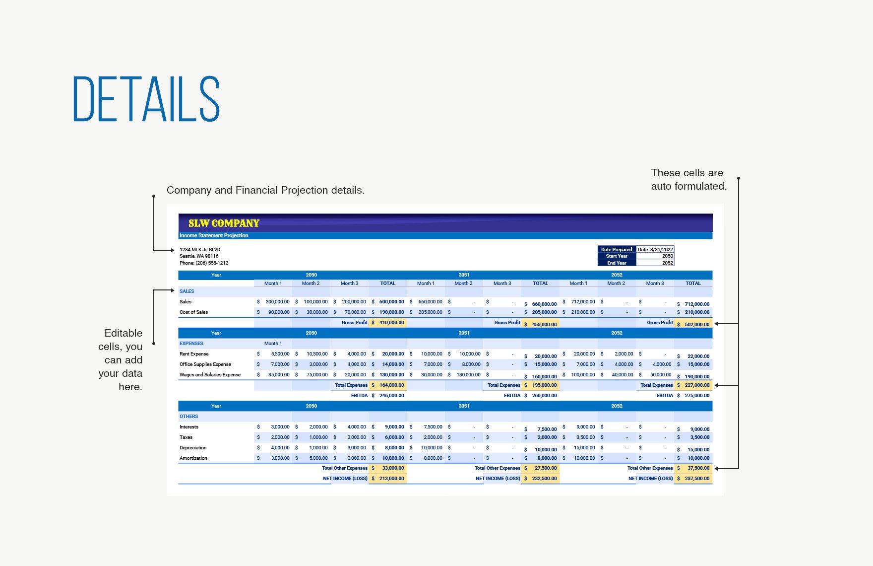 Business Financial Projection Template