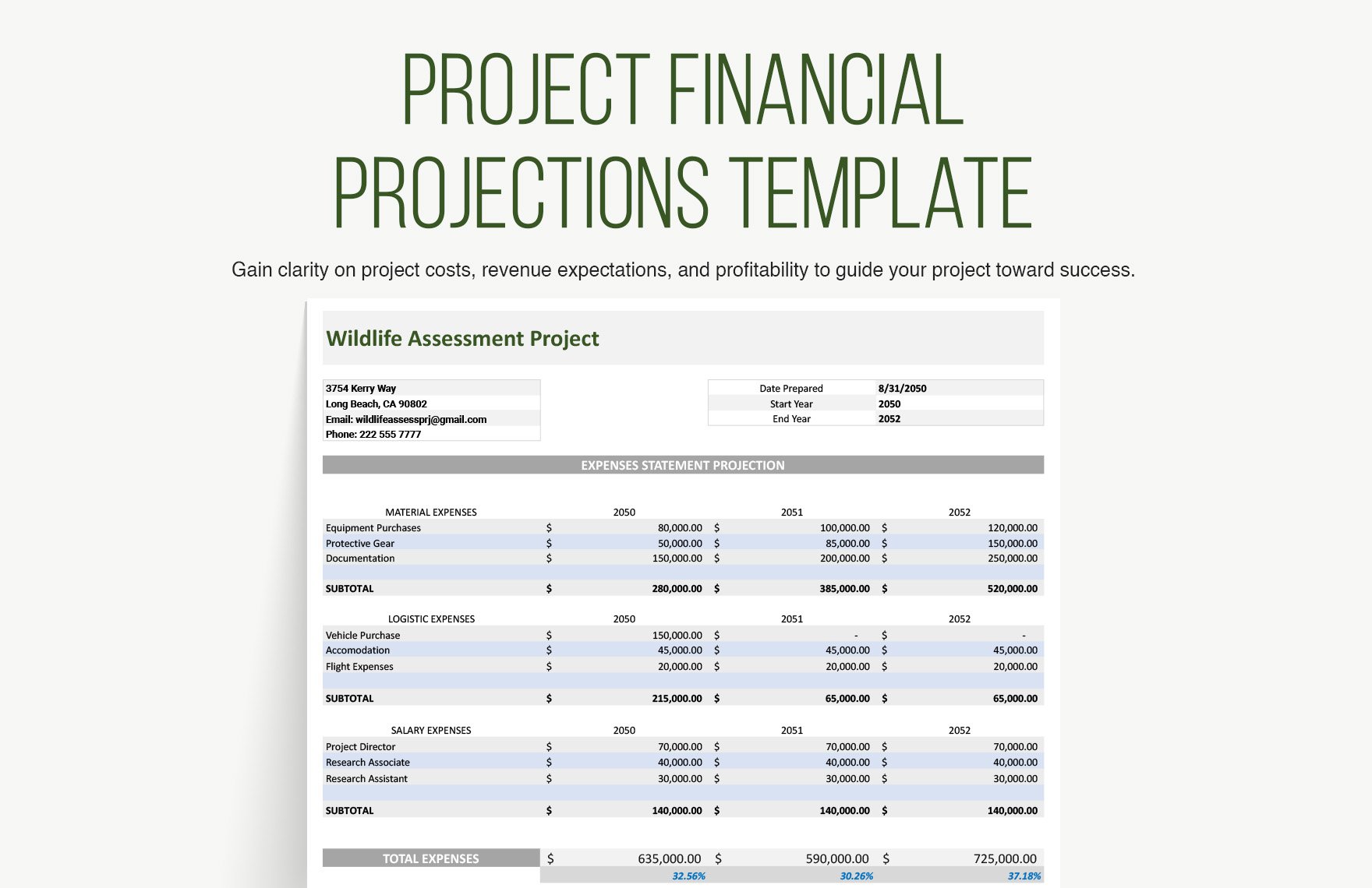 Project Financial Projections Template