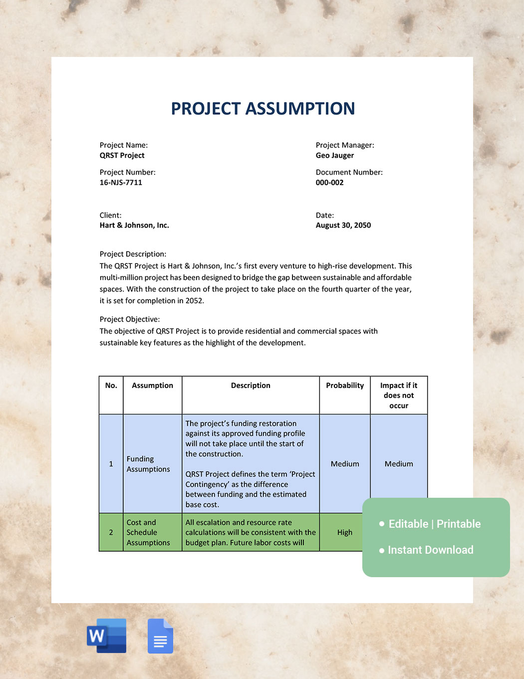 Project Assumptions Template