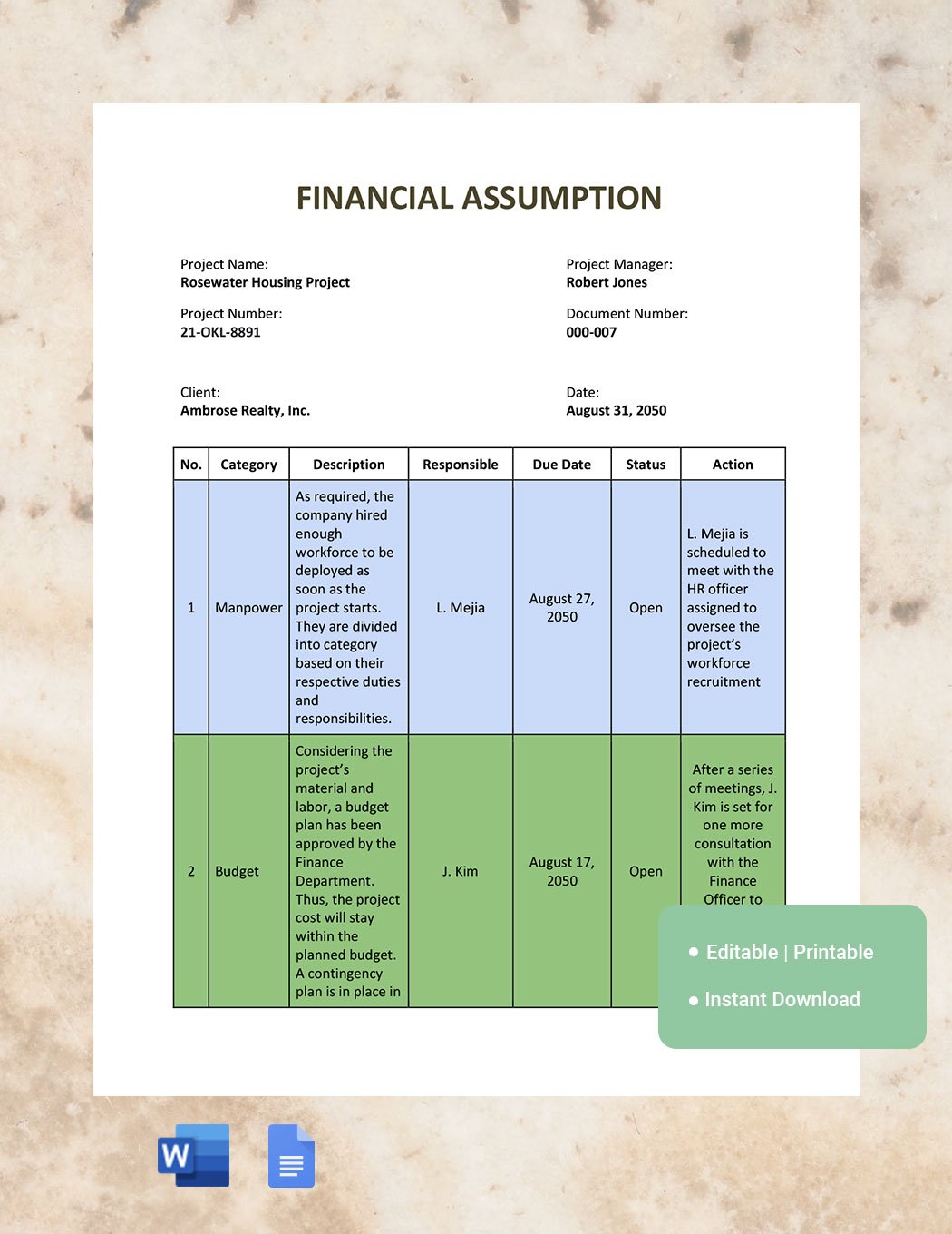 example of financial assumption in business plan