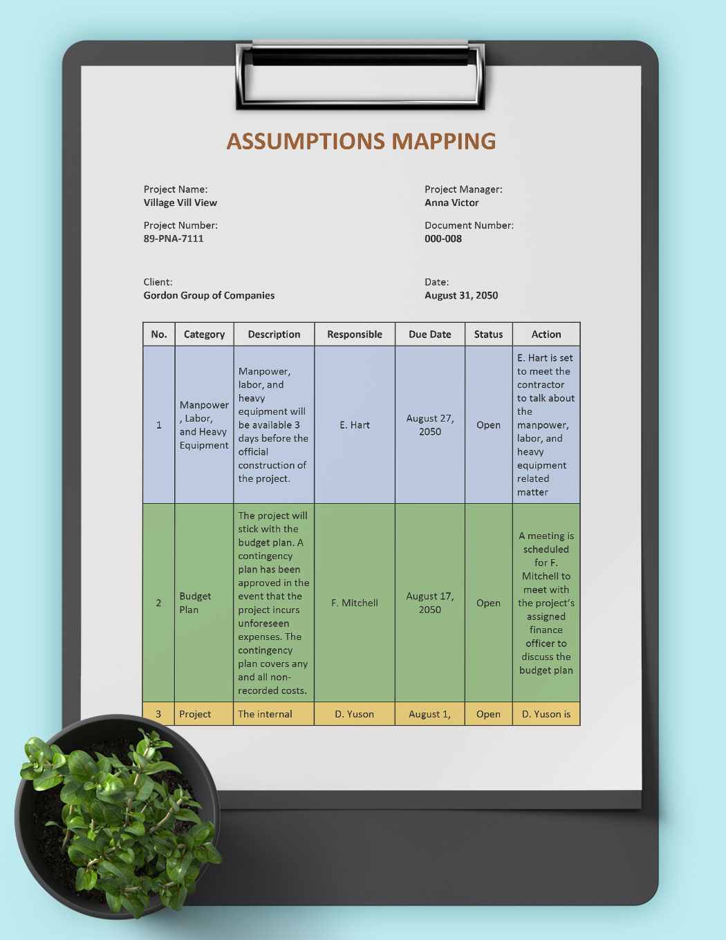 Assumptions Mapping Template