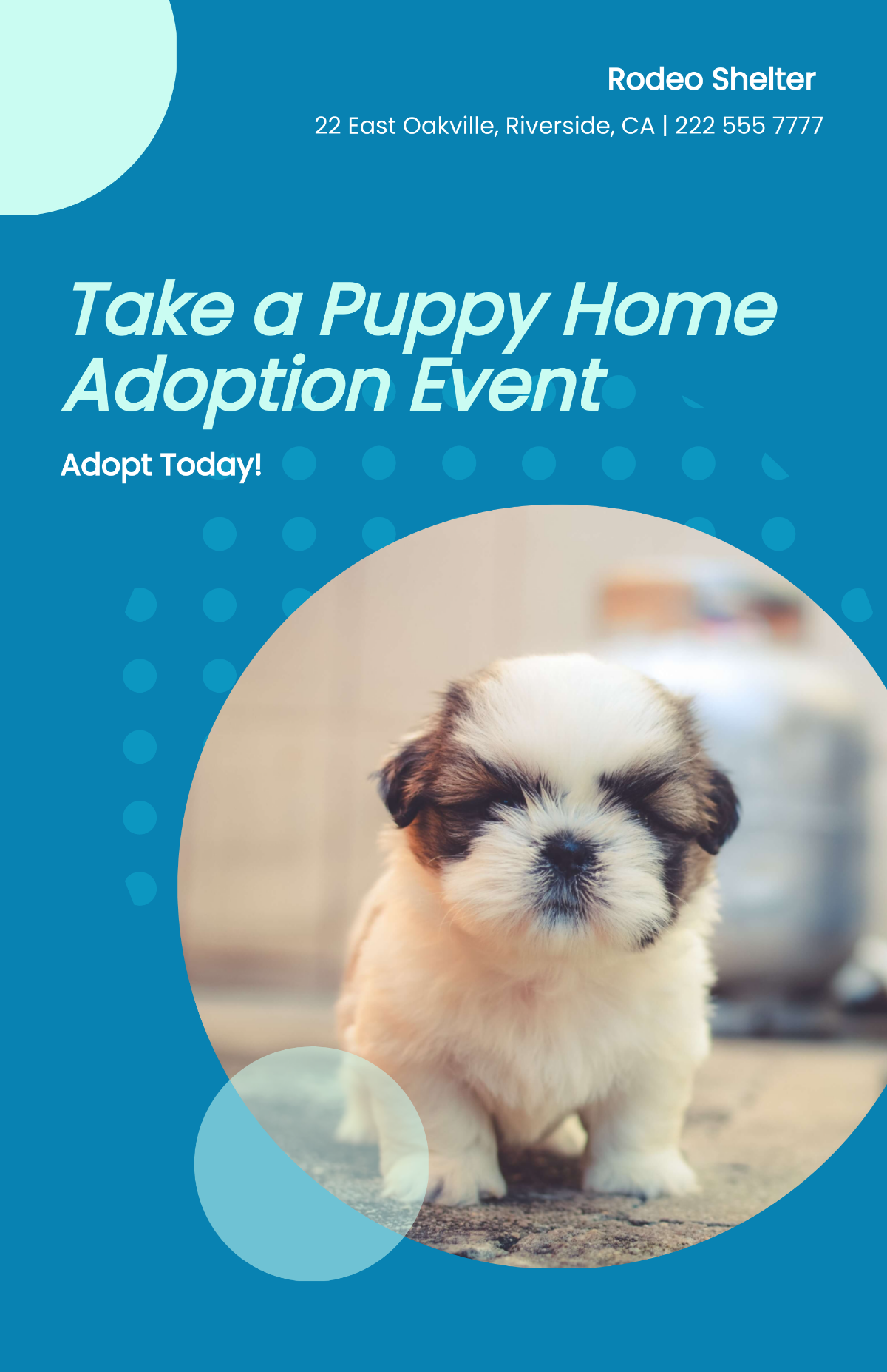 Free Pet Shelter Adoption Poster Template