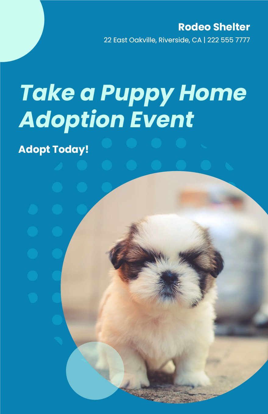 Pet Shelter Adoption Poster Template