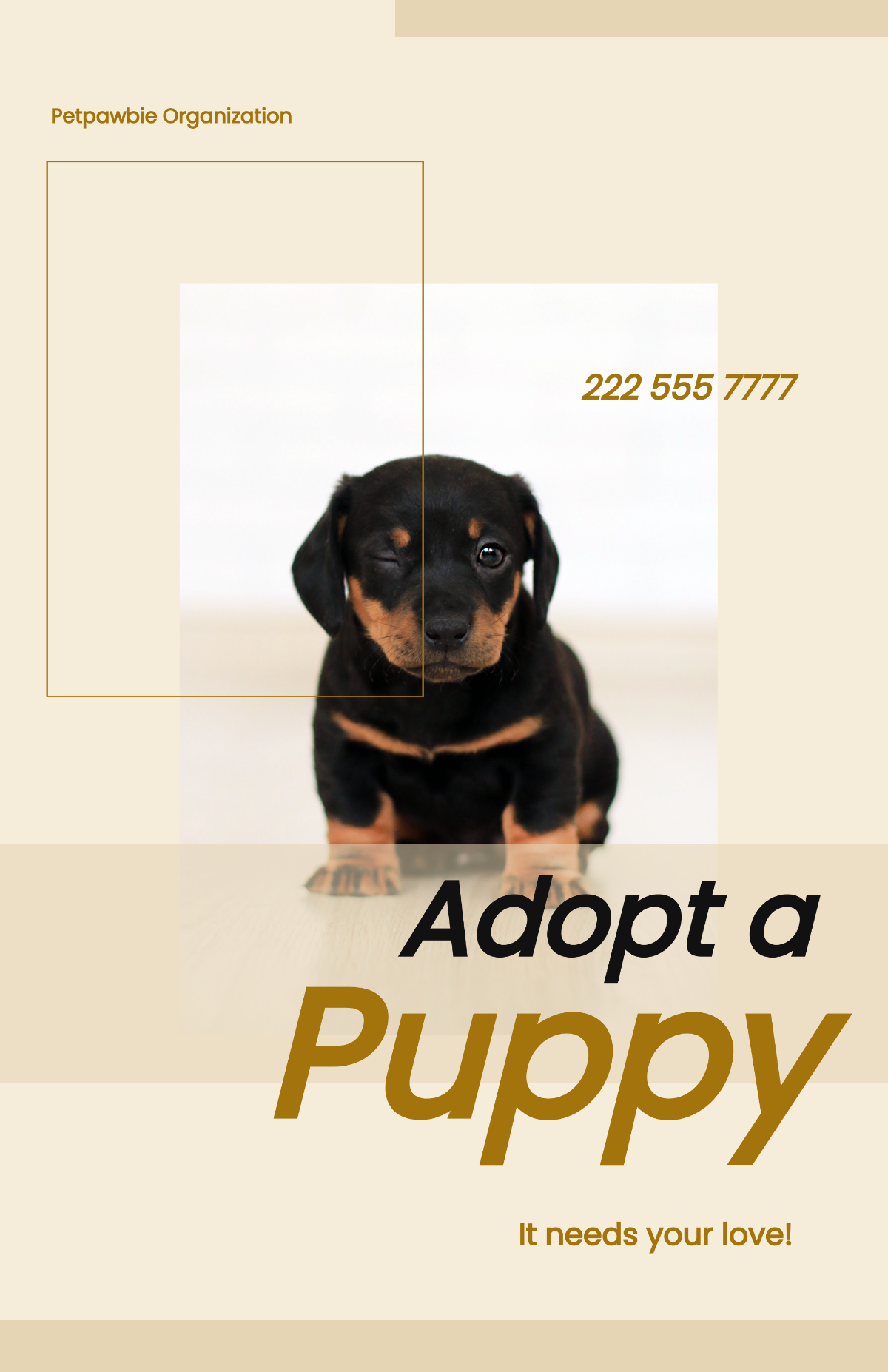 Free Puppy Adoption Poster Template