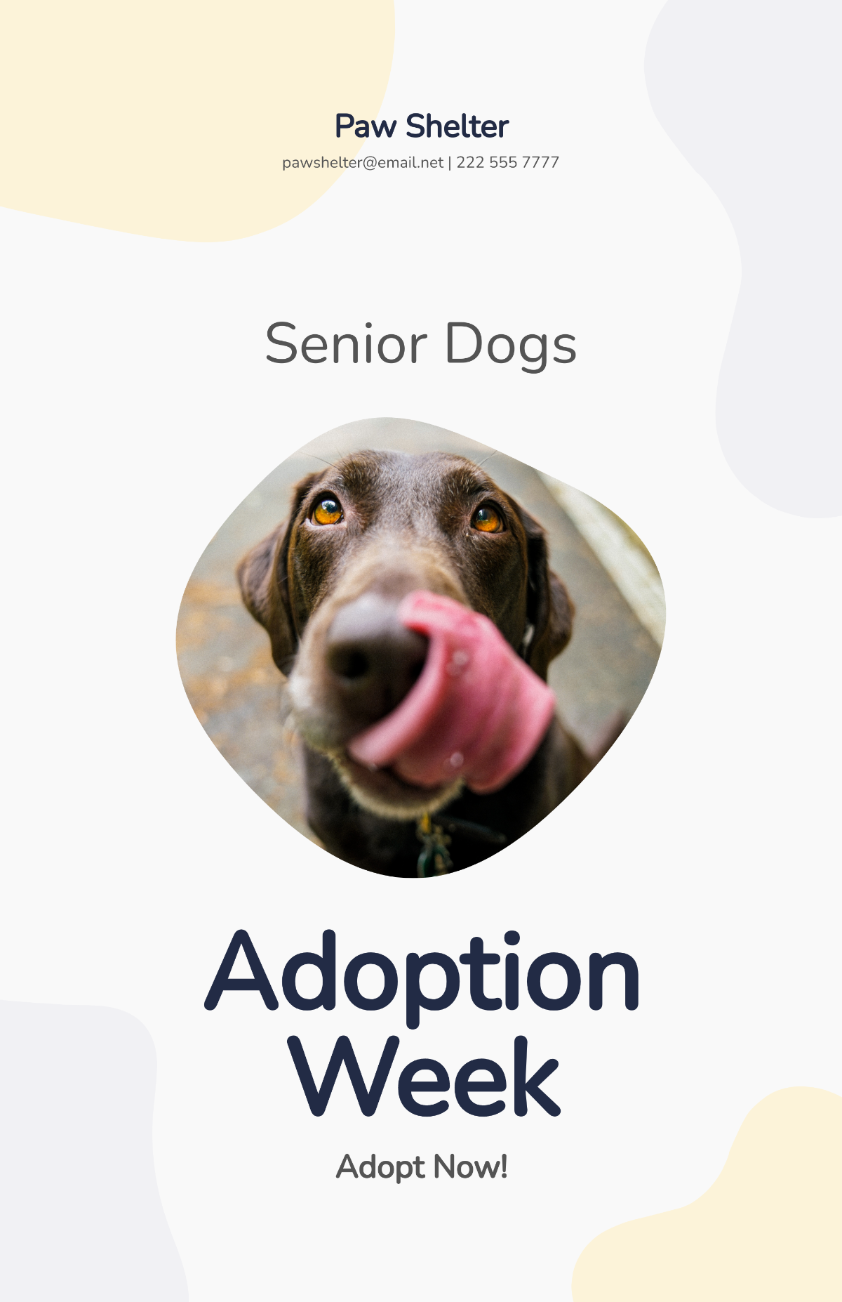 Free Adopt Dog Poster Template