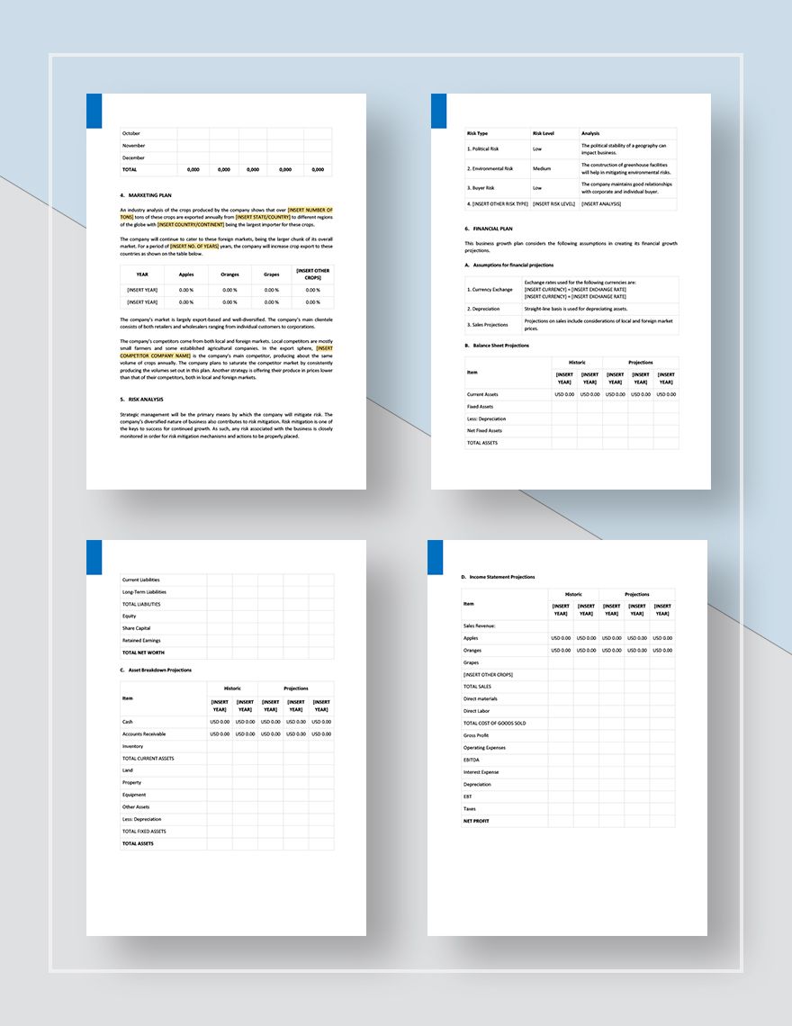 Business Growth Plan Template in Pages Word Google Docs Download