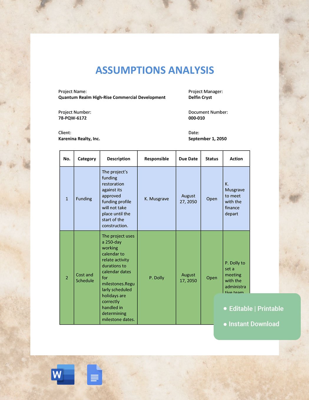 Assumption Analysis Template in Word, Google Docs
