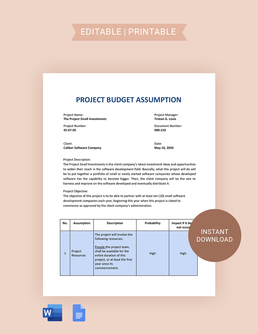 Budget Assumptions Template in Word, Google Docs