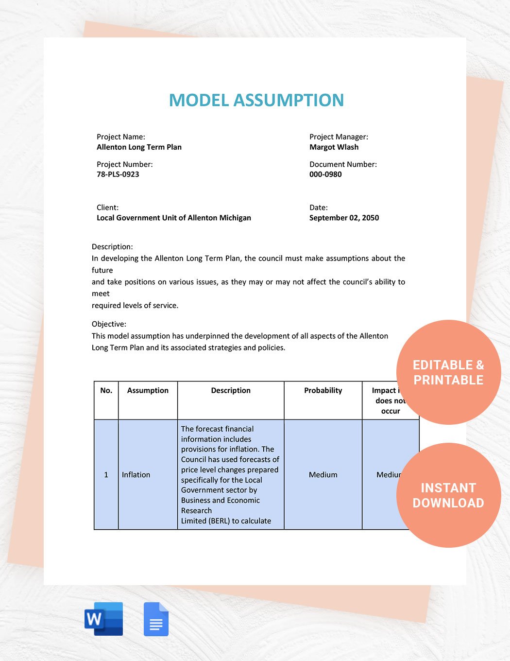 Model Assumption Template in Word, Google Docs