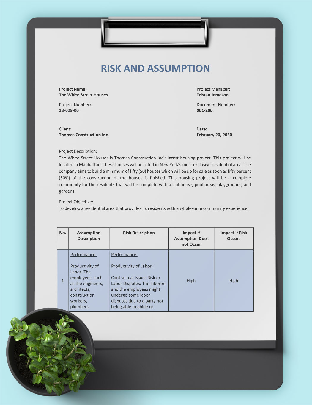 Risks And Assumptions Template