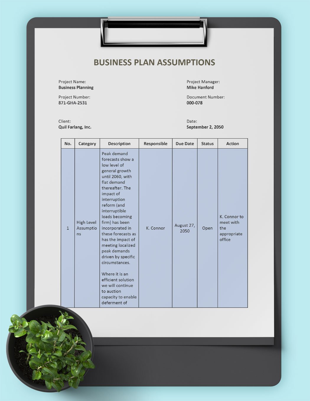 assumptions sheet business plan
