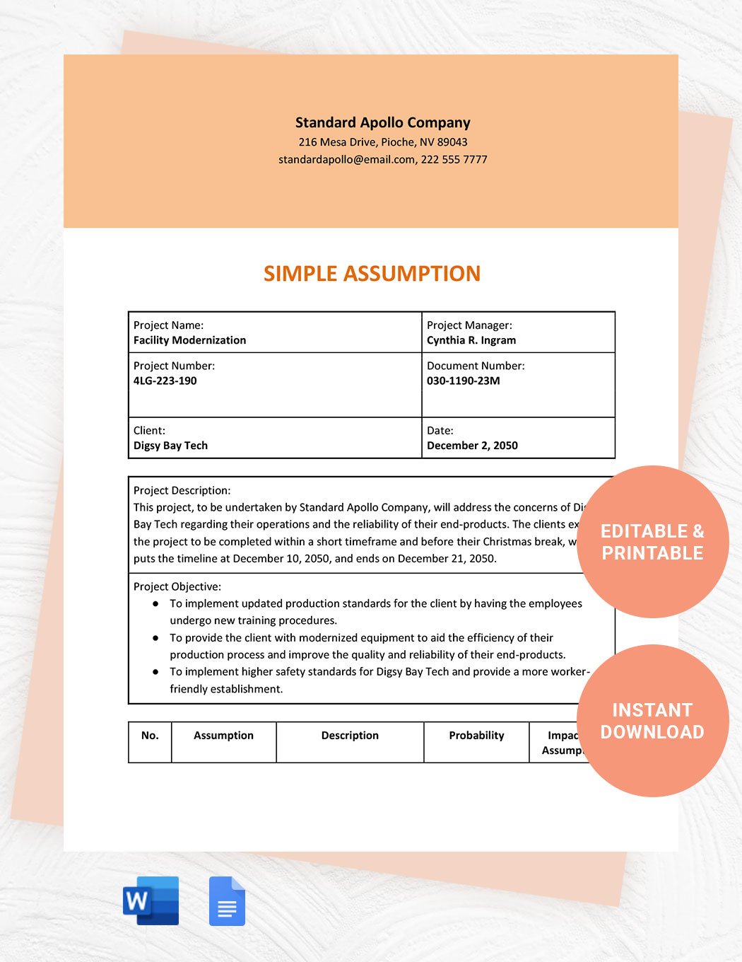 Simple Assumption Template in Word, Google Docs