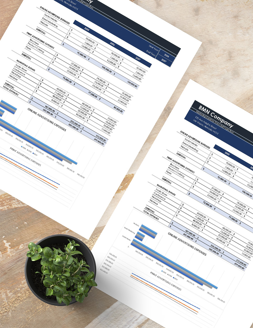 Marketing Plan Financial Projections Template Google Sheets Excel 