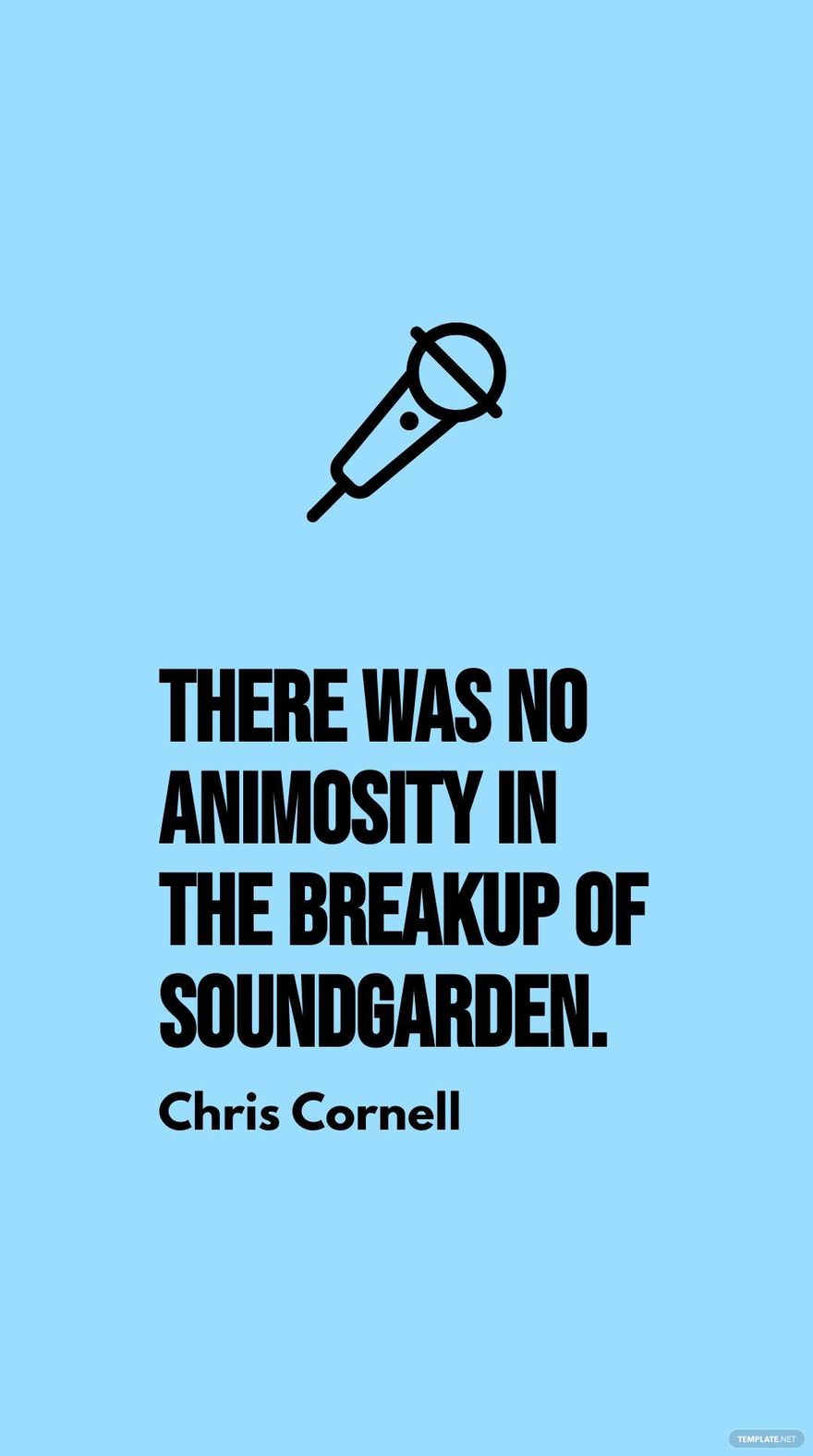 Chris Cornell - There was no animosity in the breakup of Soundgarden.
