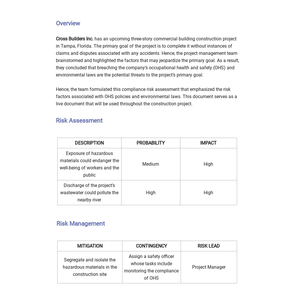 Compliance Risk Assessment Template Word Doc Apple Mac Pages 