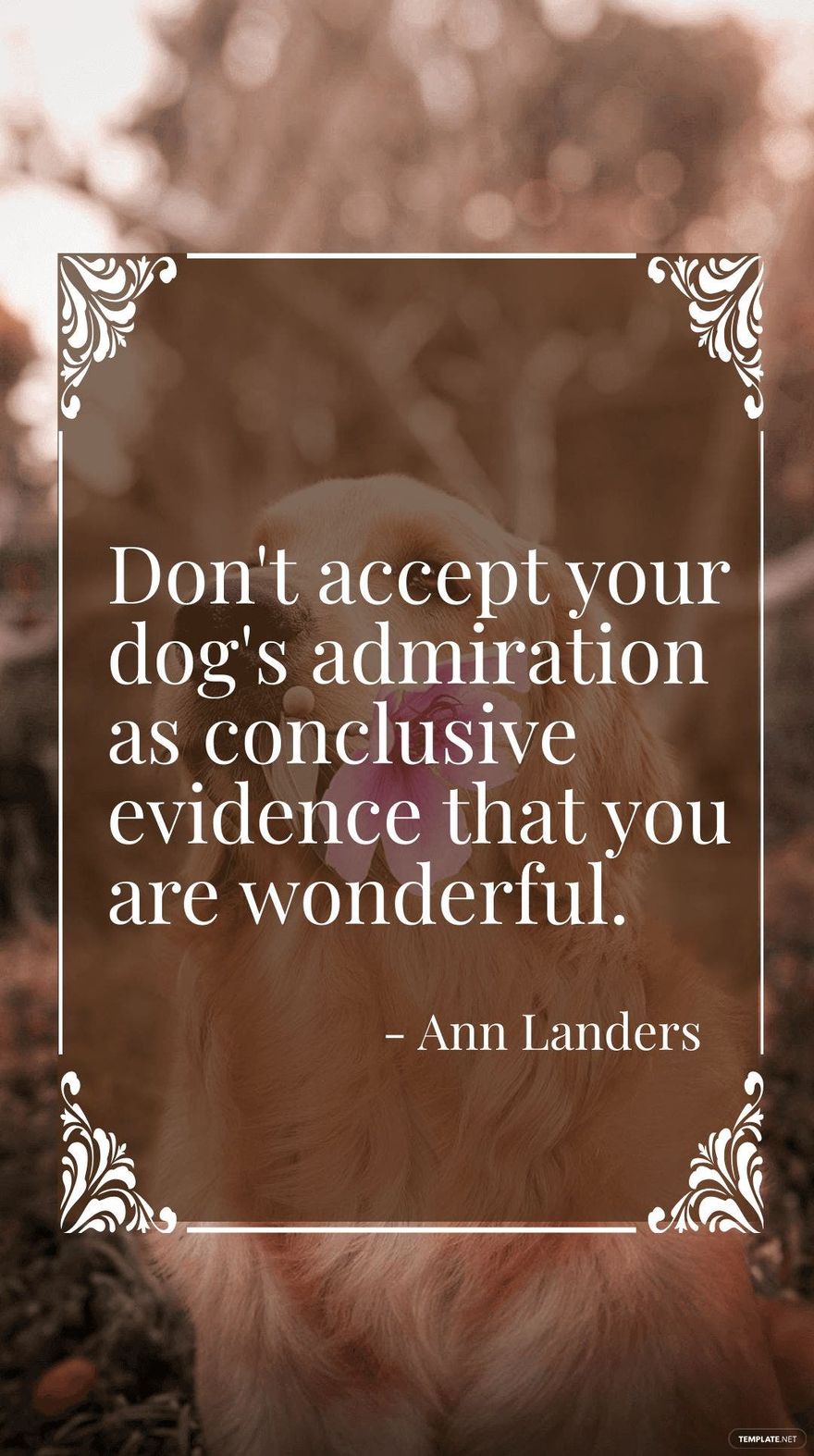 Free Ann Landers - Don't accept your dog's admiration as conclusive evidence that you are wonderful. in JPG