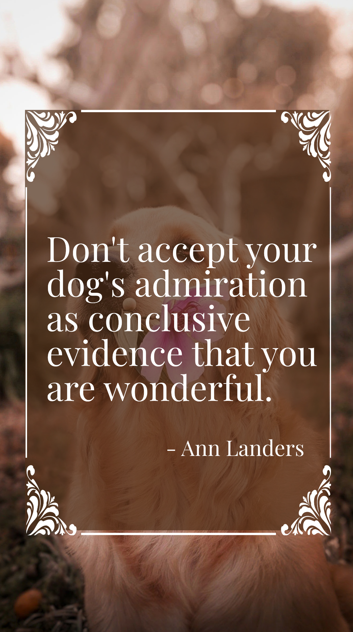 Ann Landers - Don't accept your dog's admiration as conclusive evidence that you are wonderful.