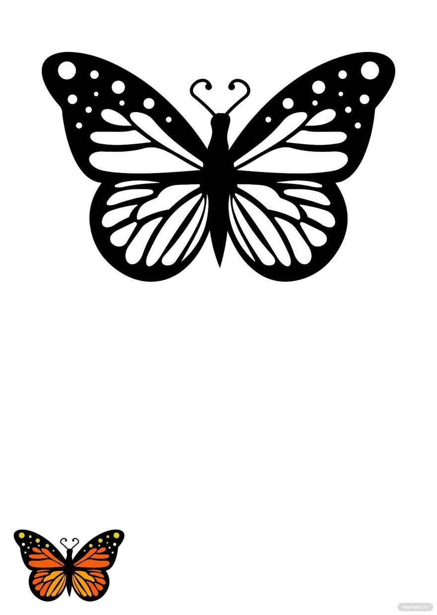 butterfly pictures to color