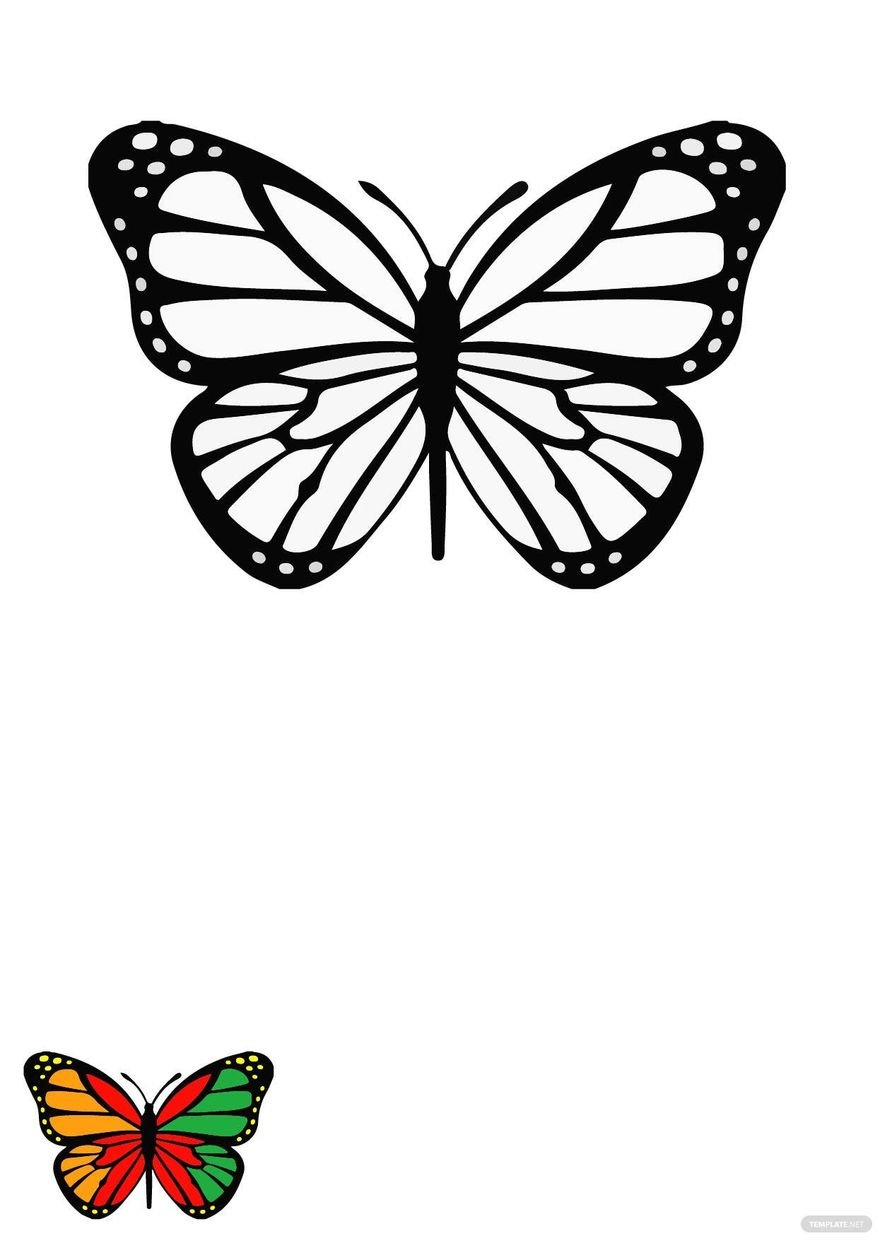 Free Butterfly Rainbow Coloring Pages in PDF