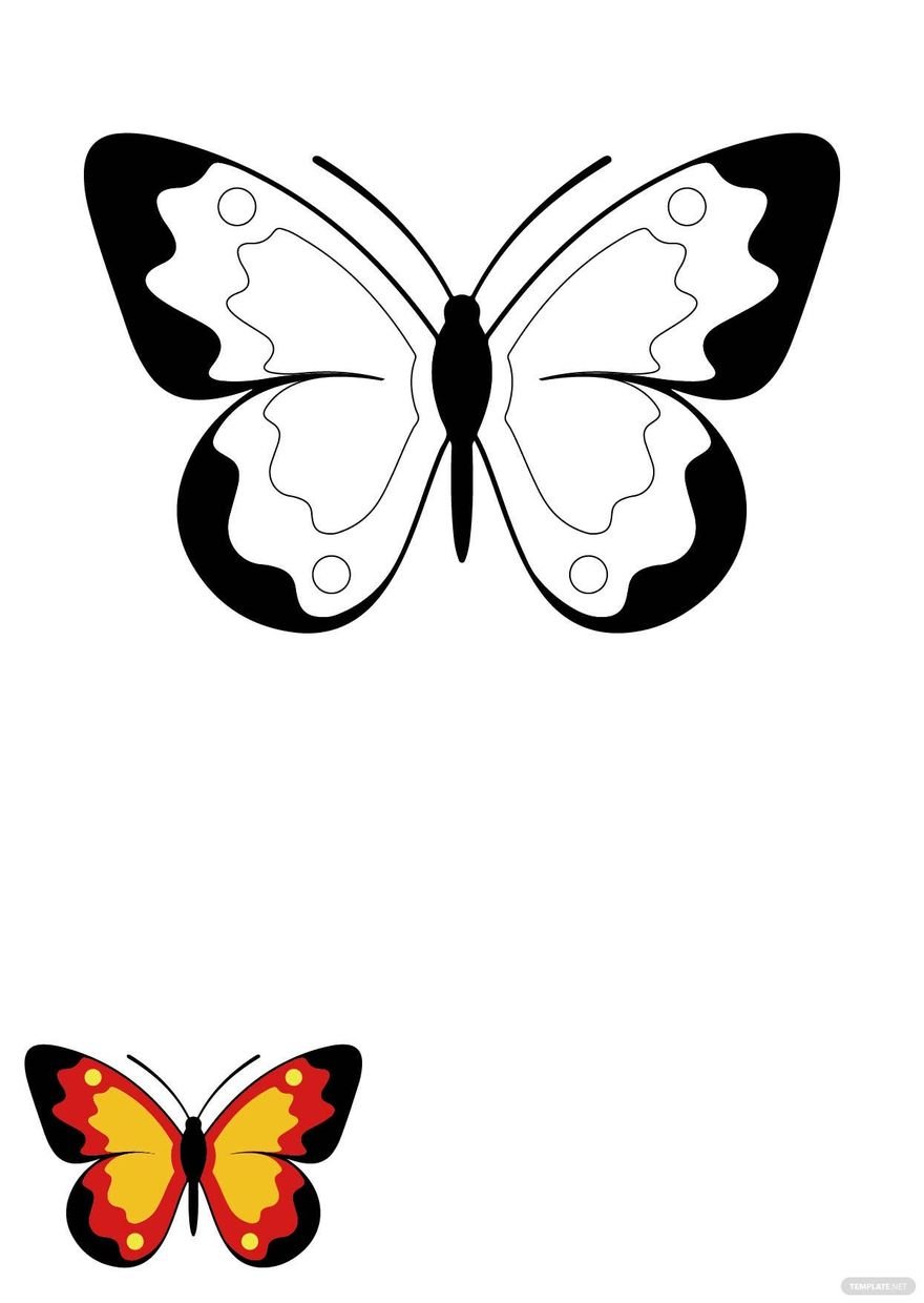 Small Butterfly Coloring Page in PDF