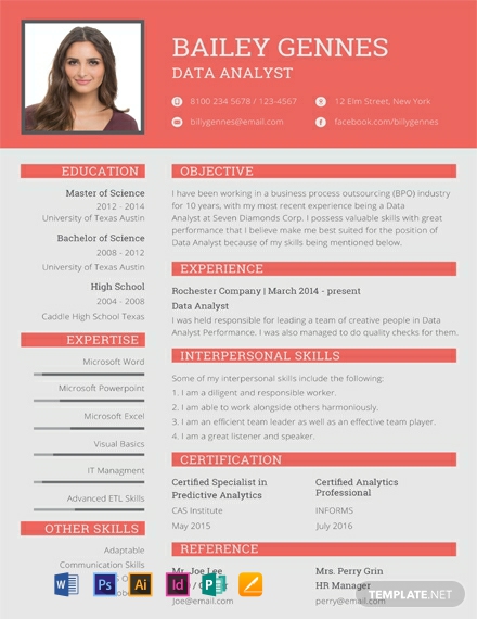 8 Data Entry Resume Templates Free Downloads