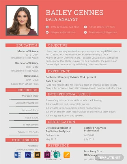 Data Entry Resume Template - Illustrator, InDesign, Word, Apple Pages, PSD, Publisher