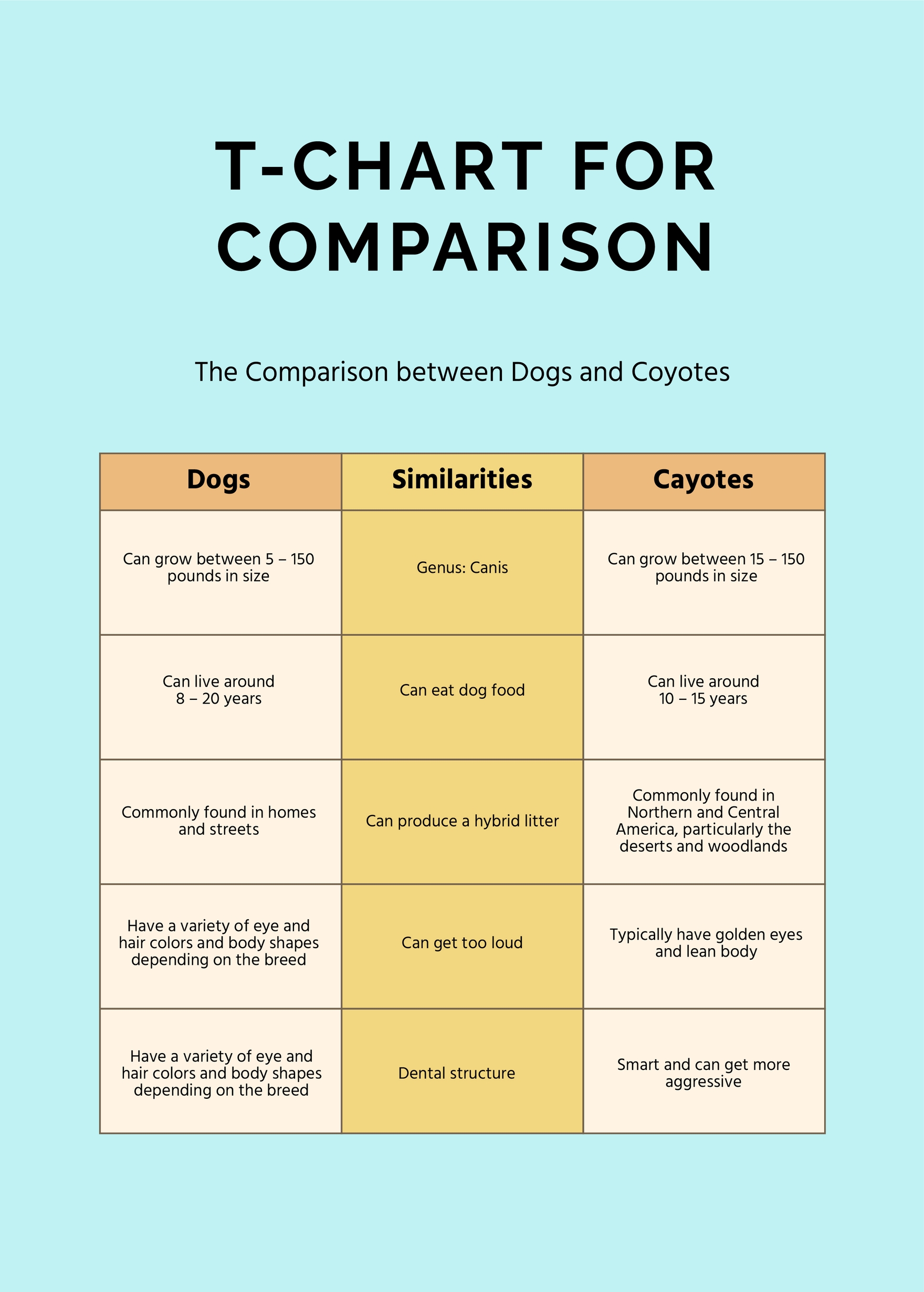 T Chart for Comparison in PDF, Illustrator