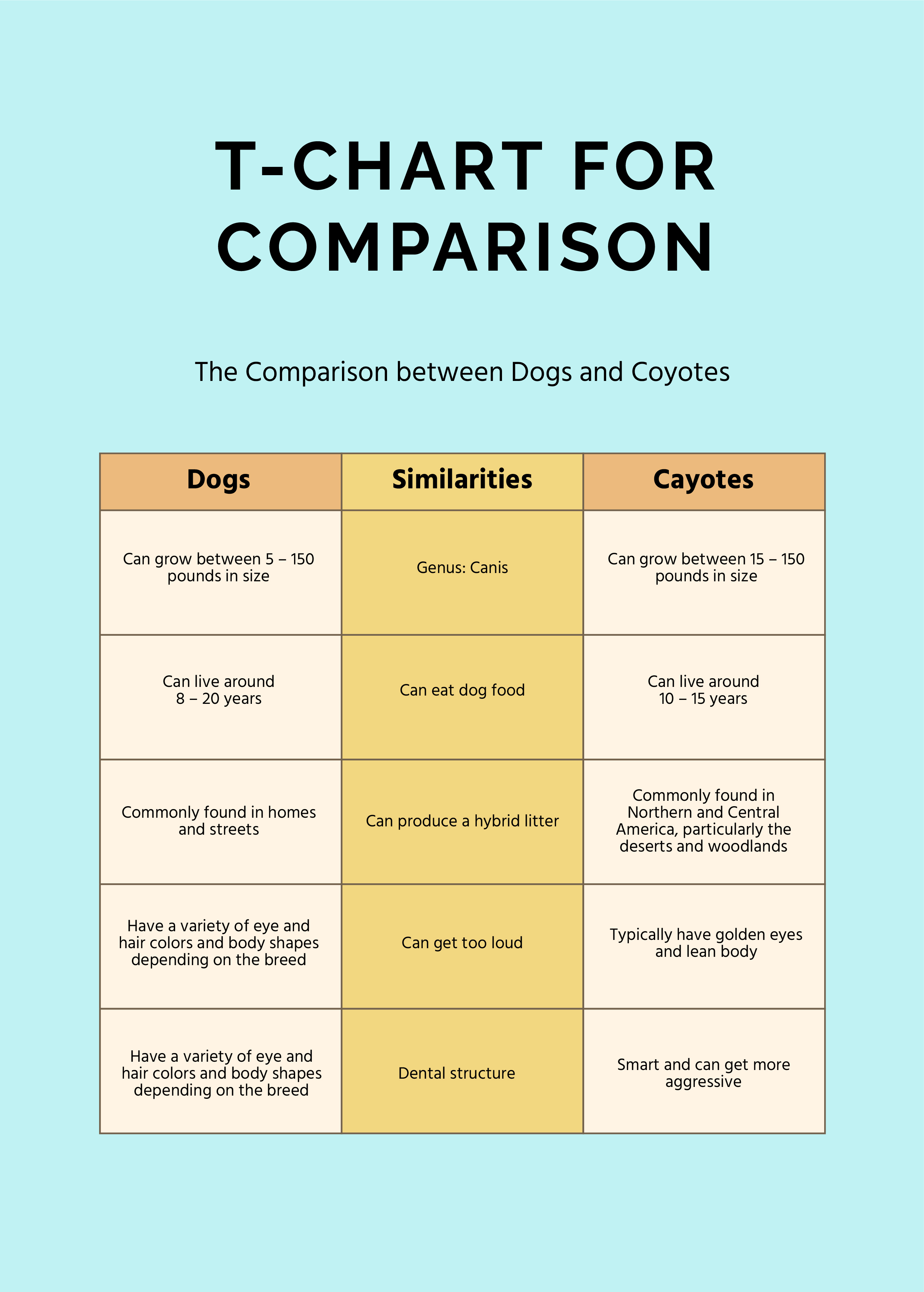 free-t-chart-template-download-in-word-google-docs-pdf-illustrator