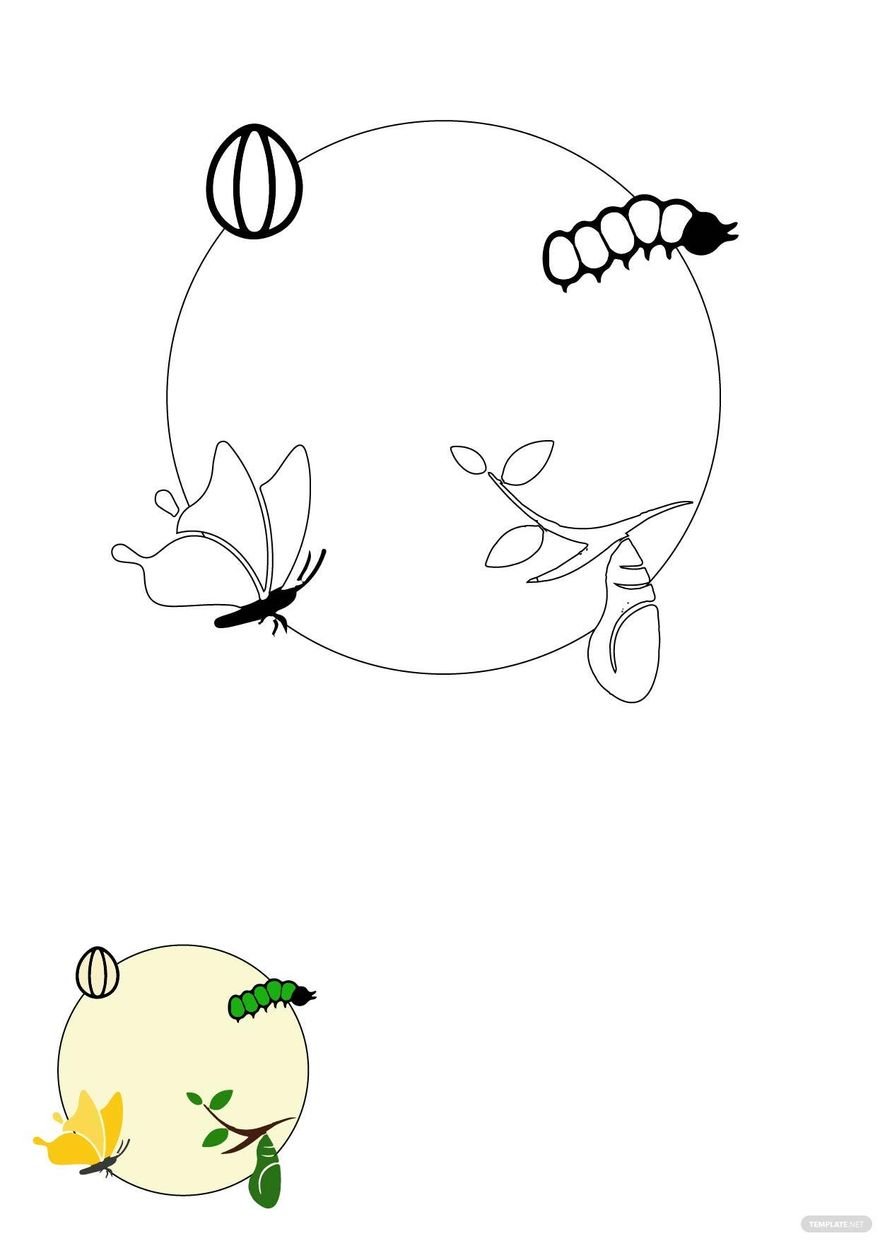 Free Butterfly Metamorphosis Coloring Page in PDF