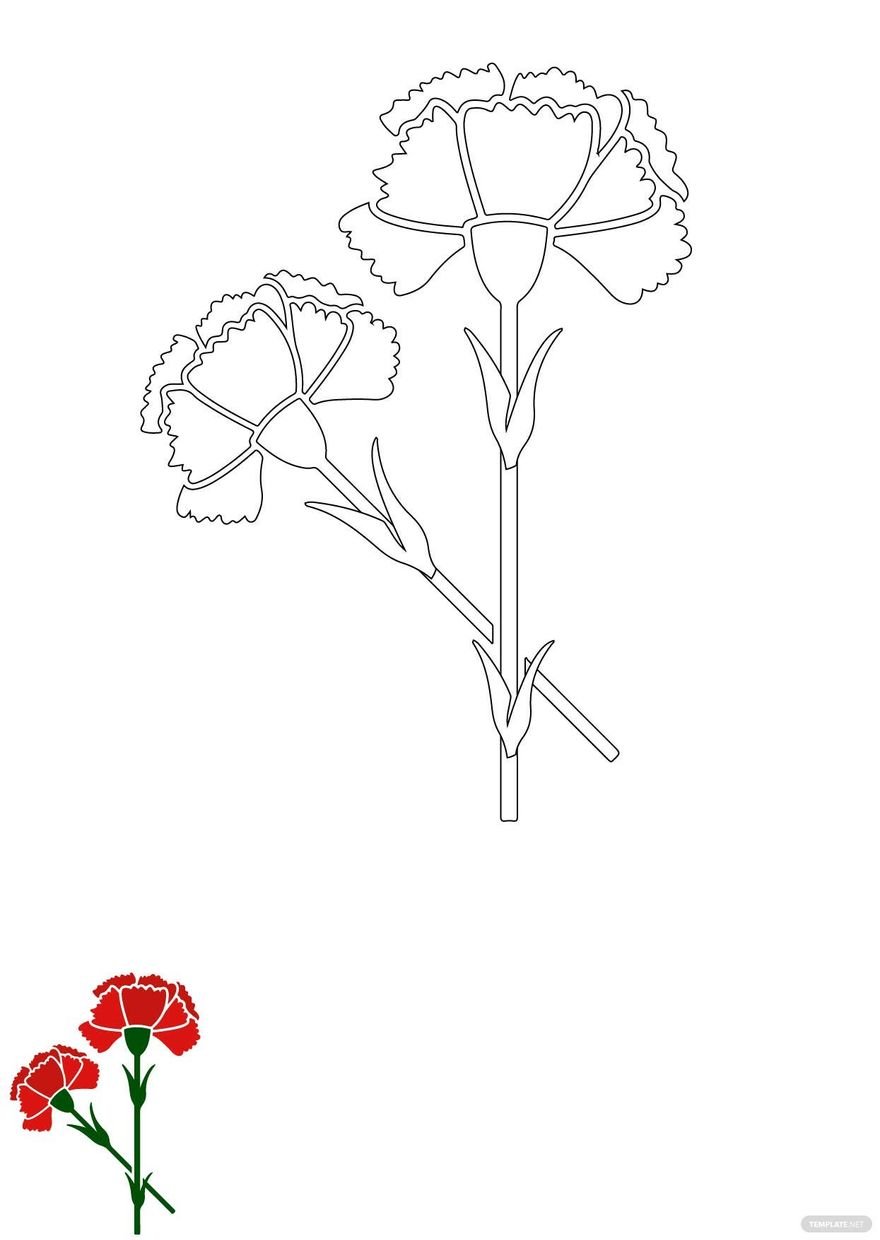 Carnation Flowers Coloring Page in PDF, EPS, JPG