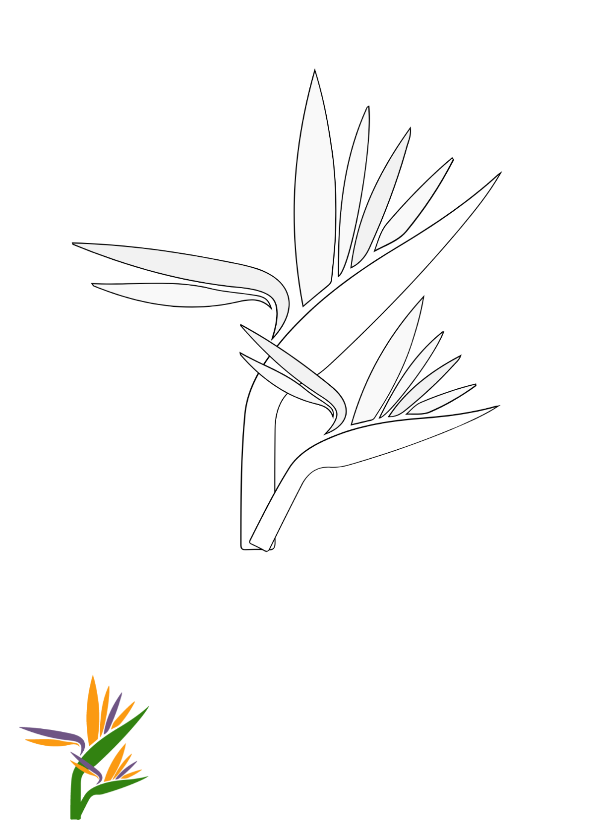 Tropical Flower Coloring Page Template
