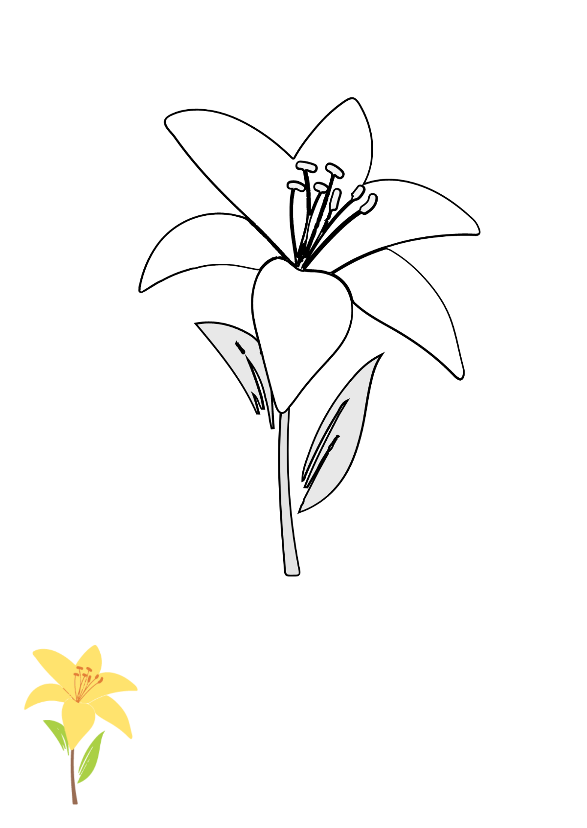 Lily Flower Coloring Pages Template