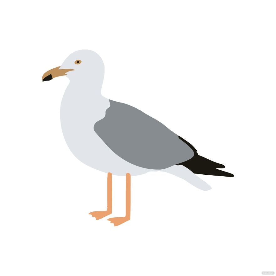 Seagull Clipart template in Illustrator, PSD, EPS, SVG, JPG, PNG