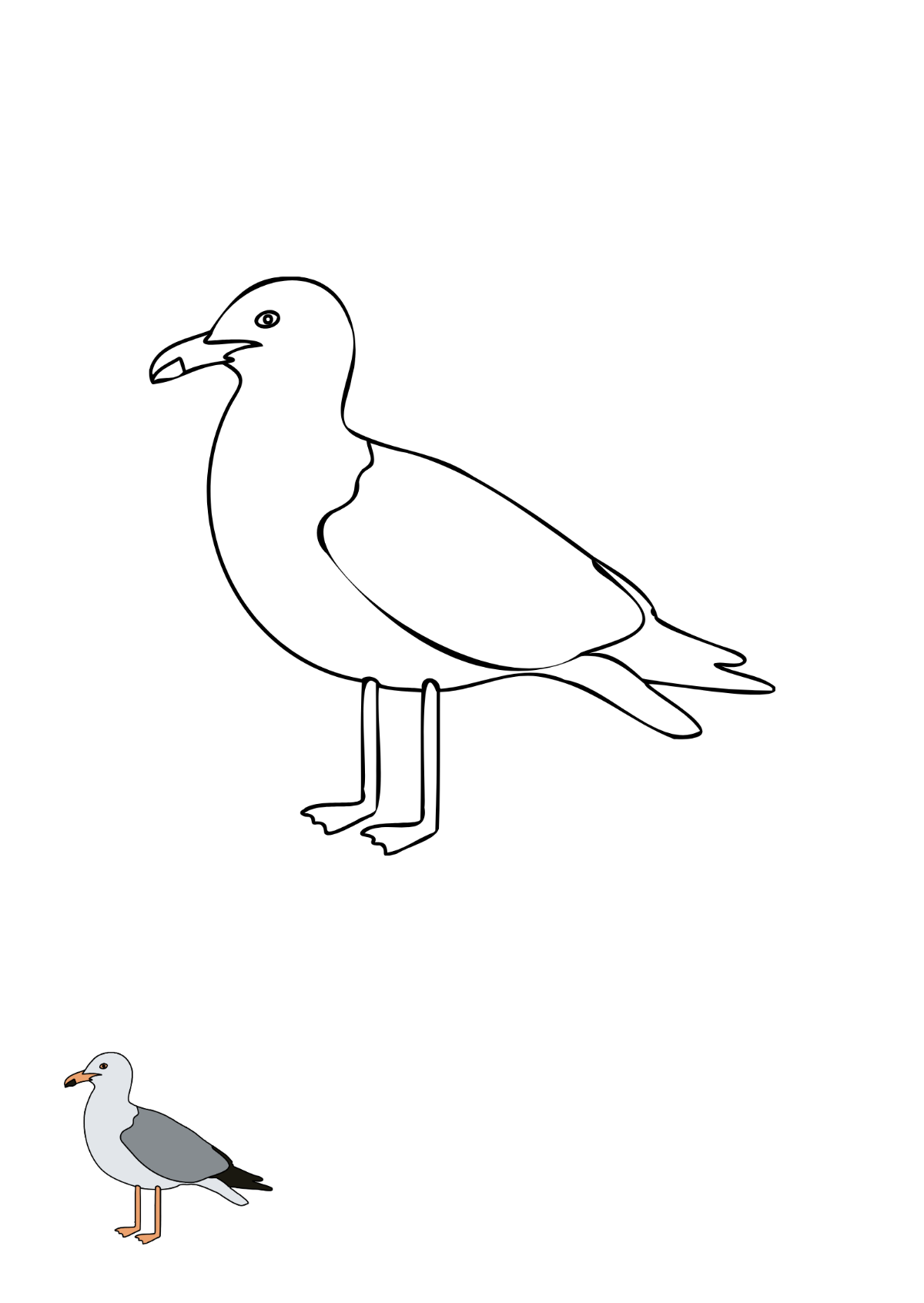 Seagull Coloring Page template