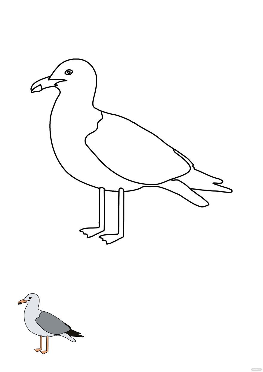 Seagull Coloring Page template in PDF, EPS, JPEG