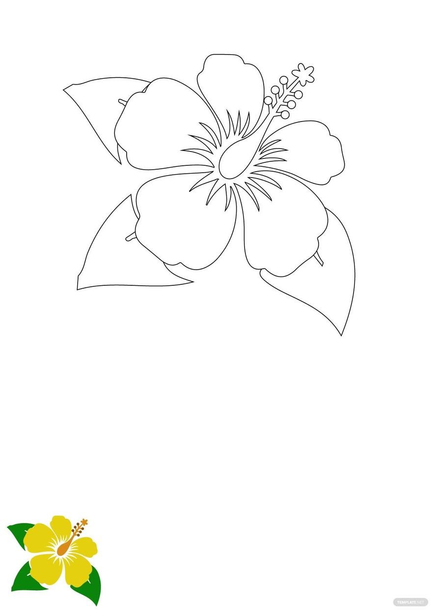 Hibiscus Flower Coloring Page in PDF, EPS, JPG